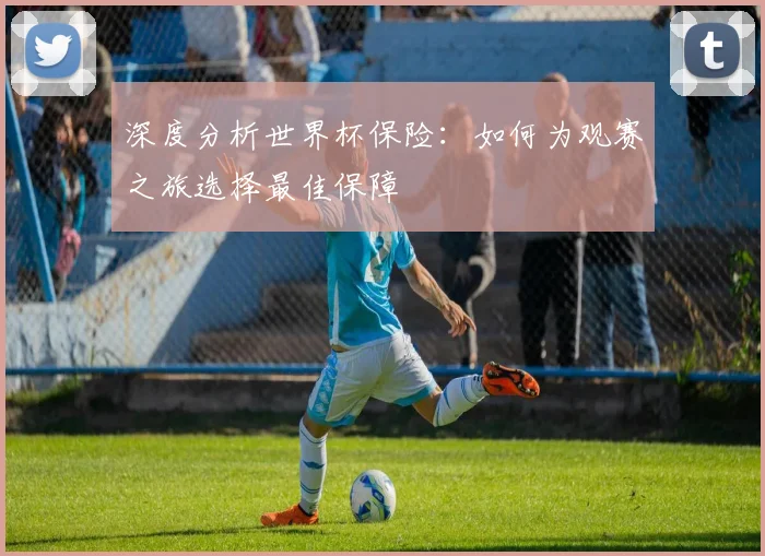 深度分析世界杯保险:如何为观赛之旅选择最佳保障