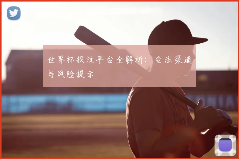 世界杯投注平台全解析：合法渠道与风险提示