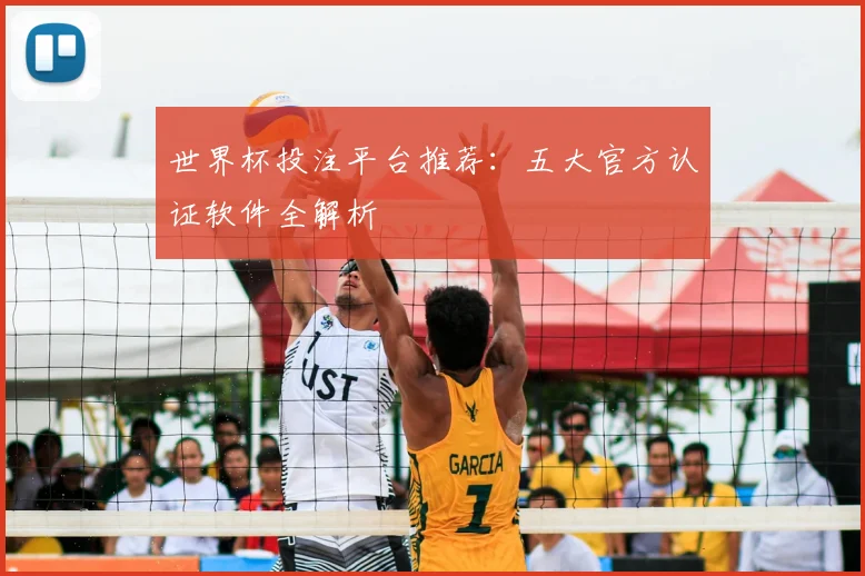 世界杯投注平台推荐：五大官方认证软件全解析