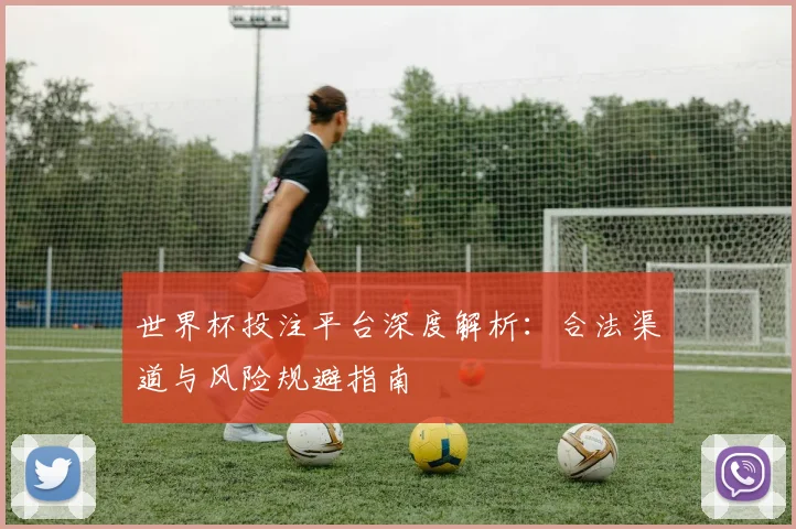 世界杯投注平台深度解析：合法渠道与风险规避指南
