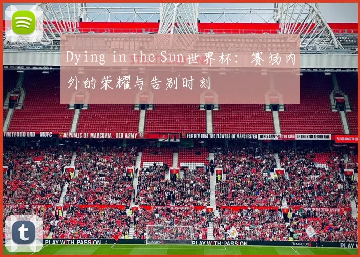 Dying in the Sun世界杯:赛场内外的荣耀与告别时刻