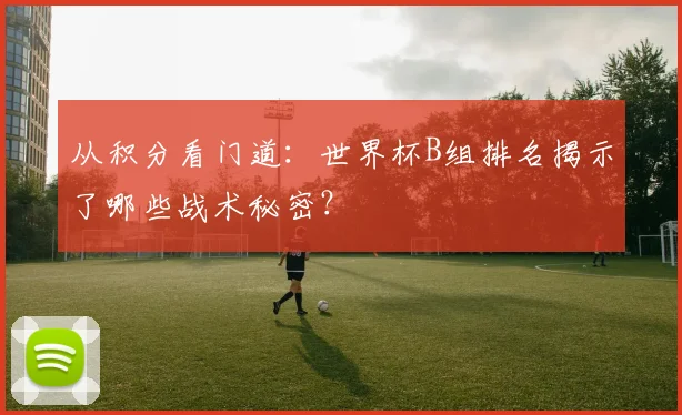 从积分看门道：世界杯B组排名揭示了哪些战术秘密？