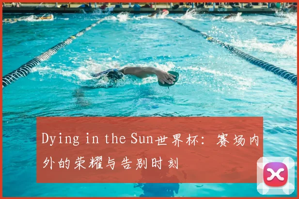 Dying in the Sun世界杯:赛场内外的荣耀与告别时刻