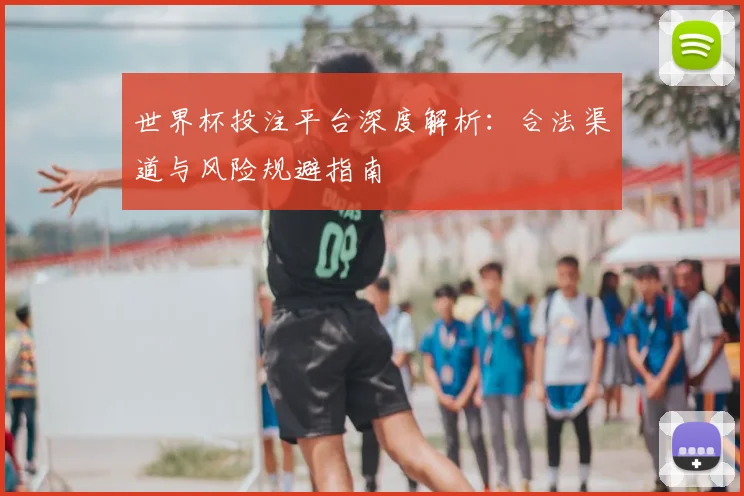 世界杯投注平台深度解析：合法渠道与风险规避指南