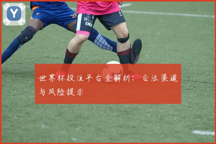 世界杯投注平台全解析：合法渠道与风险提示